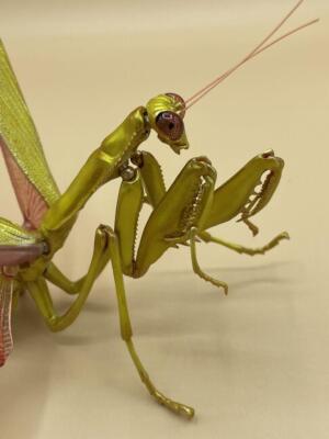 Figure Giant Praying Mantis Fully Painted Encyclopedia Of