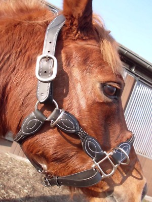 Halfter aus Leder/Nylon mit Ohrenfreiheit Größe :  Full / Warmblut ,schwarz