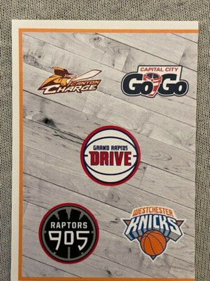 Panini NBA Basketball Sticker 2018/19 G League Eastern Conference Puzzle 1