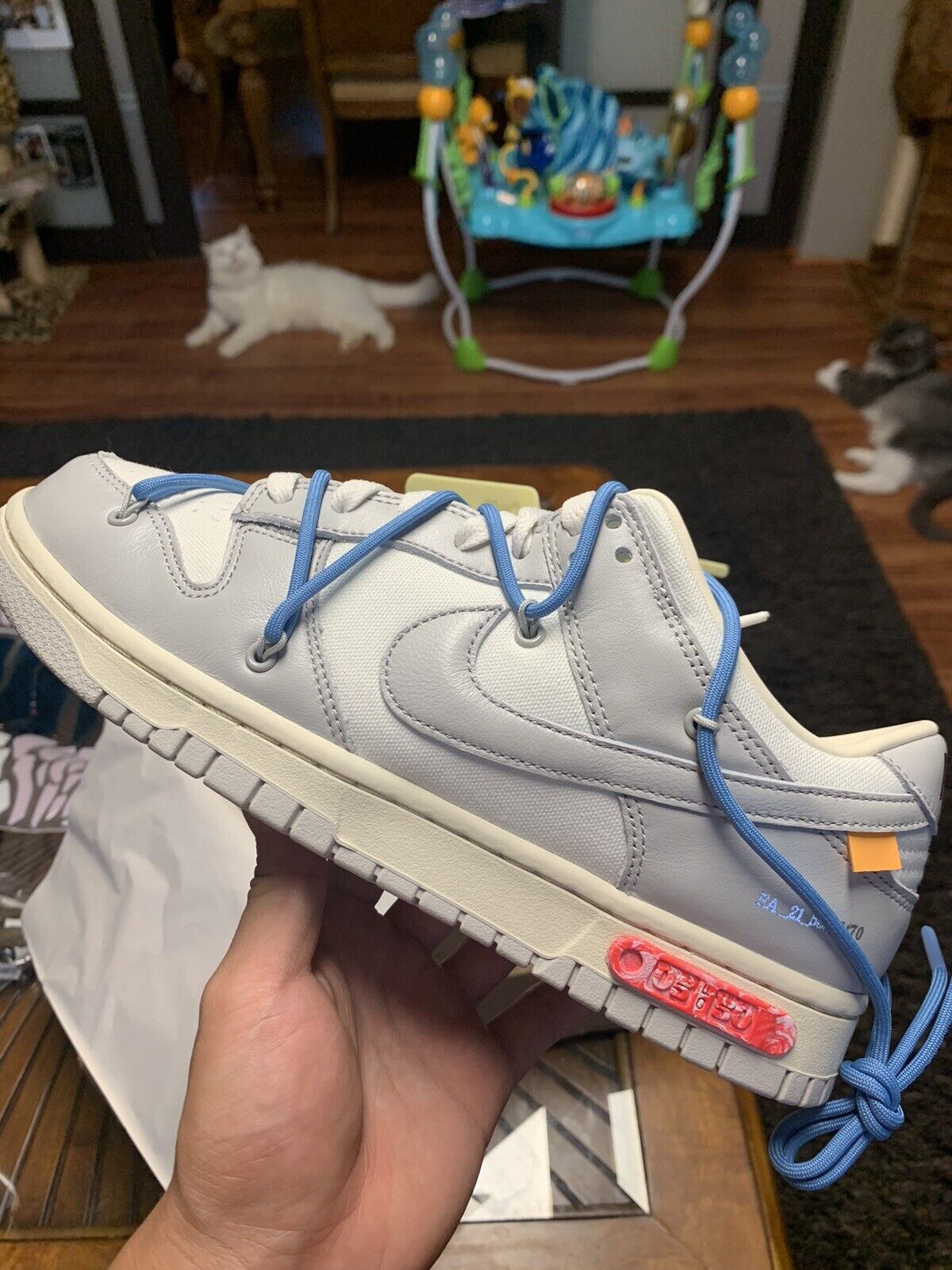 Nike Off-White dunk low Lot 5