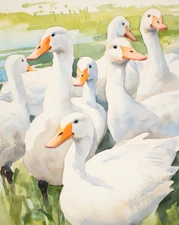 Watercolor White Geese Farmhouse Poster Home Wall Art - 12X16/16X20/18X24/24X36