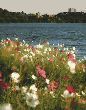 Paint by Numbers Kit for Adults Beginner,Seaside Wildflowers Paint by Number Ki