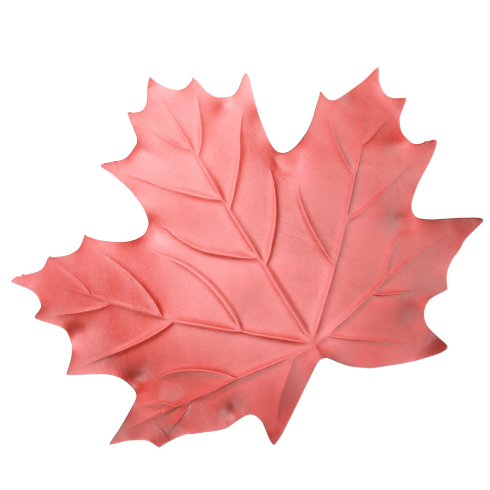 Erntetischdekoration AhornblattTischs Ets Herbst Café Geschenk eBay