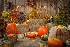 10x8ft Thanksgiving Pumpkin Rustic Wood Barn Photo Background Vinyl Backdrop LB