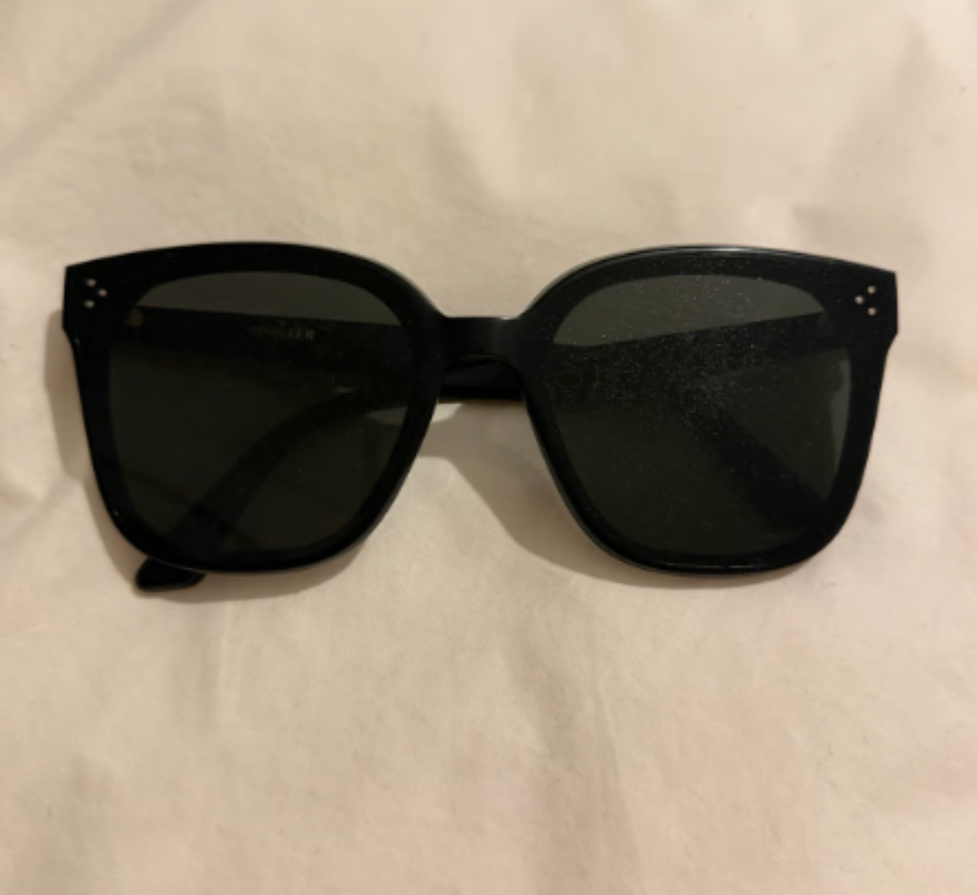 Gentle monster RICK sunglasses black