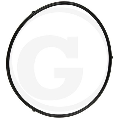 Loncin Schwimmergehäusedichtung G240F-G420FD Vergaser OE 380840456-0001