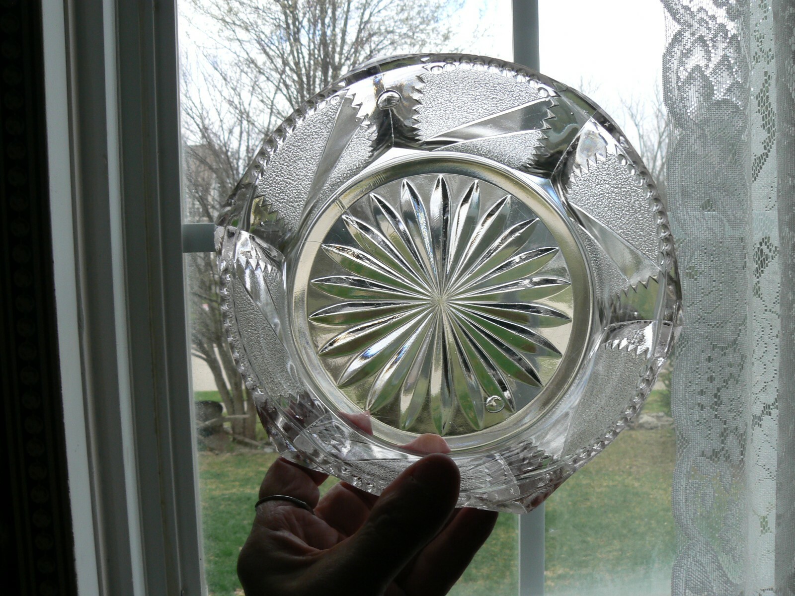 Picture 8 of 8