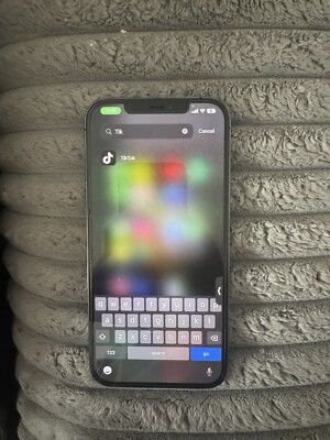 iphone 12 max pro with tiktok