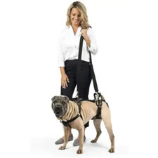 PetSafe CareLift Support Harness/Large - Full Body Lifting Aid with Handle