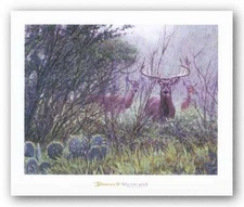 ART PRINT Lone Star Whitetail by John Banovich