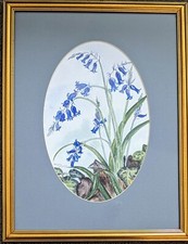 Beautiful Original Signed Watercolour "BLUEBELLS" By Sheila Mc Naught, Newquay 