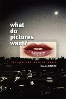 What Do Pictures Want? | The Lives And Loves Of Images | W. J. T. Mitchell