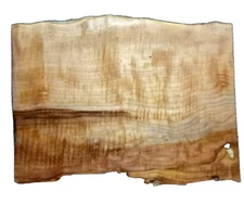 CURLY MAPLE WORMHOLE BEACH SLAB TURNING WOODWORKING APPROX 14.5x11x1.25 IN
