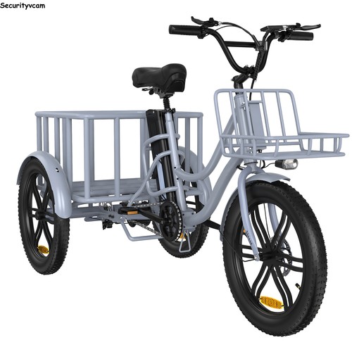 20-Zoll-Elektrofahrrad 500W 3-Rad-Fahrrad Fat Tire Cargo Trike Elektro-Dreirad