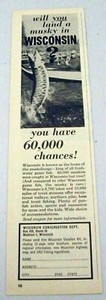 1963 Print Ad Wisconsin Conservation Madison,WI Musky Fishing
