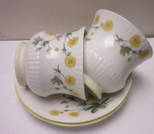 Queens Rosina Teacup and Saucer Set of 2 Wild Flowers Yellow Floral Pair