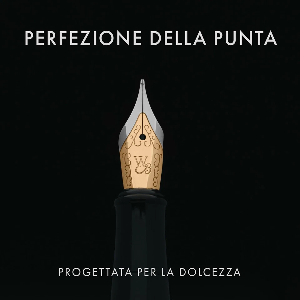 Set Penna Stilografica, Pennino Medio Dorato 18K, Include 24 Cartucce Inchiostro - Immagine 4 di 4