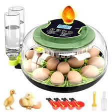 18 Egg Incubators for Hatching Eggs, Egg Incubator with Temperature Control, Hum