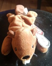 Ty Beanie Baby BUCKY the Beaver MINT with Double Tags RETIRED errors 