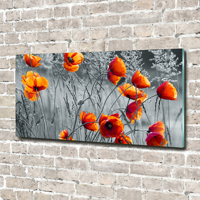 Wandbild aus Plexiglas  Druck auf Acryl 140x70 Blumen & Pflanzen Feldmohnblumen