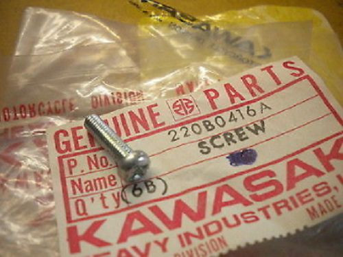 NOS Kawasaki OEM Pan Head Screw 4X16 2009-2010 KL250 220B0416A