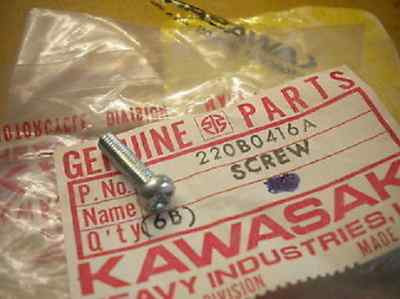 パーツ K-G NOS Kawasaki OEM Pan Head Screw 4X16 2009-2010 KL250 220B0416A