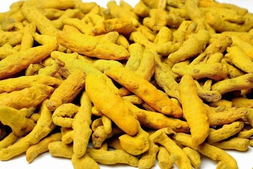 Whole Turmeric Sticks Haldi Gatiya Sabut Haldi Whole Haldi Premium Quality