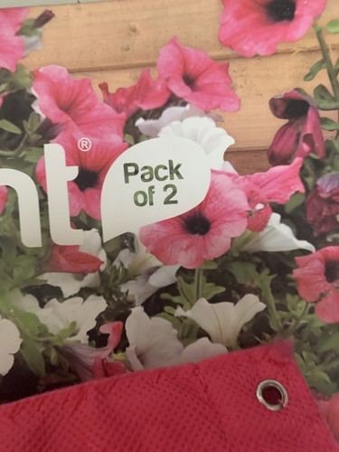 NEW Burgon & Ball Aubergine Verti-Plant Vertical Plant Holders Pack of 2 Pink - Picture 7 of 7