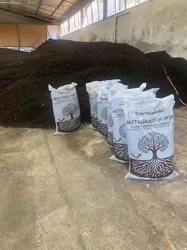 Humus di Lombrico - NutriRoot Humus 6 sacchi da 25 kg (150kg - 375 Litri) - Immagine 3 di 4