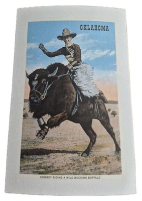 Cowboy Riding A Wild Bucking Buffalo Oklahoma Postcard NEW