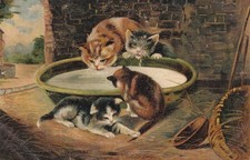 Cartolina forza di Hoffmann antichi gatti che bevono artista pubblicità 2603221