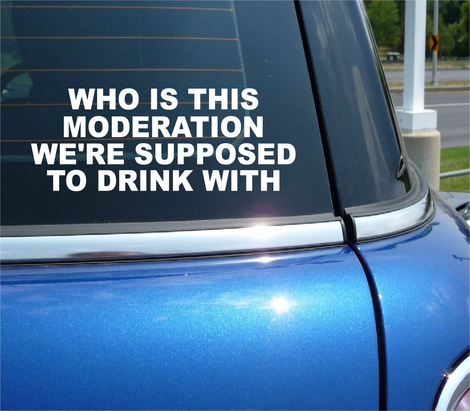 Funny Car Window Sticker Who Is This Moderation Supposed To Drink With Decal
