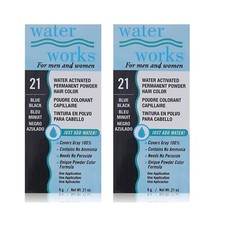 Water Works Permanent Powder Hair Color 21 Blue Black 2 Pack 