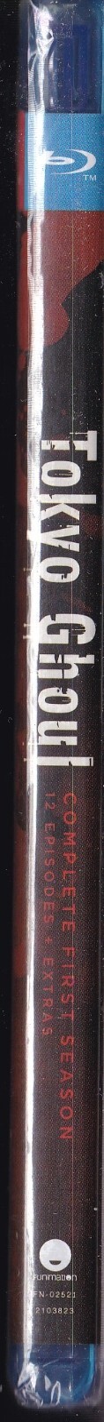 Foto 3 di 3