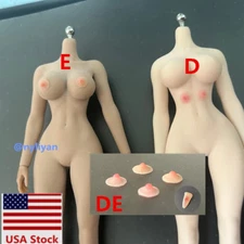 1/12 Female Nipple Breast Chest Vagina Patches Accessories For 6'' Figure Body