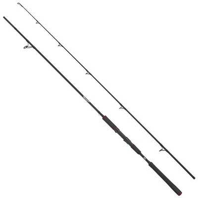 ABU Garcia Beast Pike 1002XH Deadbait 40-140g Hechtrute Sprinnrute
