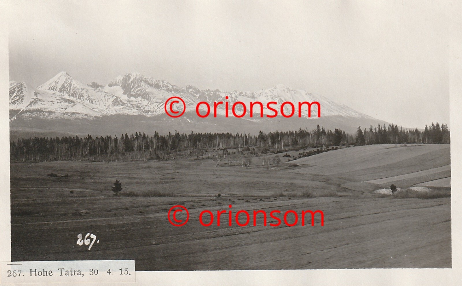 Bild 1 von 2