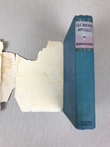 1925 Glorious Apollo by E Barrington HC w/DJ Antique Book - Picture 5 of 16