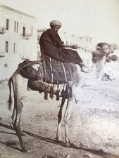 Pascal Sebah Kairo, Ein Kamelhirte Und Sein Kamel Vintage Albumin-Druck 1895