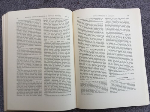 A Historical Review of the Mollusks of Linnaeus-Part 4 by Henry Dodge (1956) - Imagen 4 de 5
