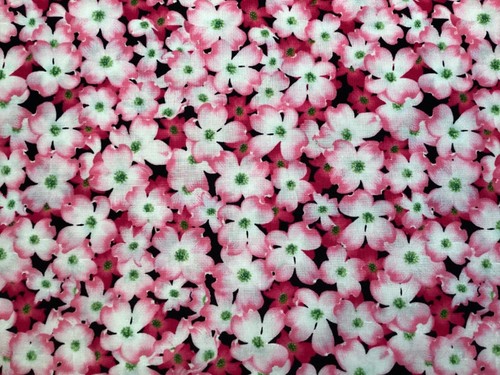 Pink Blossoms Timeless Treasures Cotton Quilting/Sewing Fabric by the ...