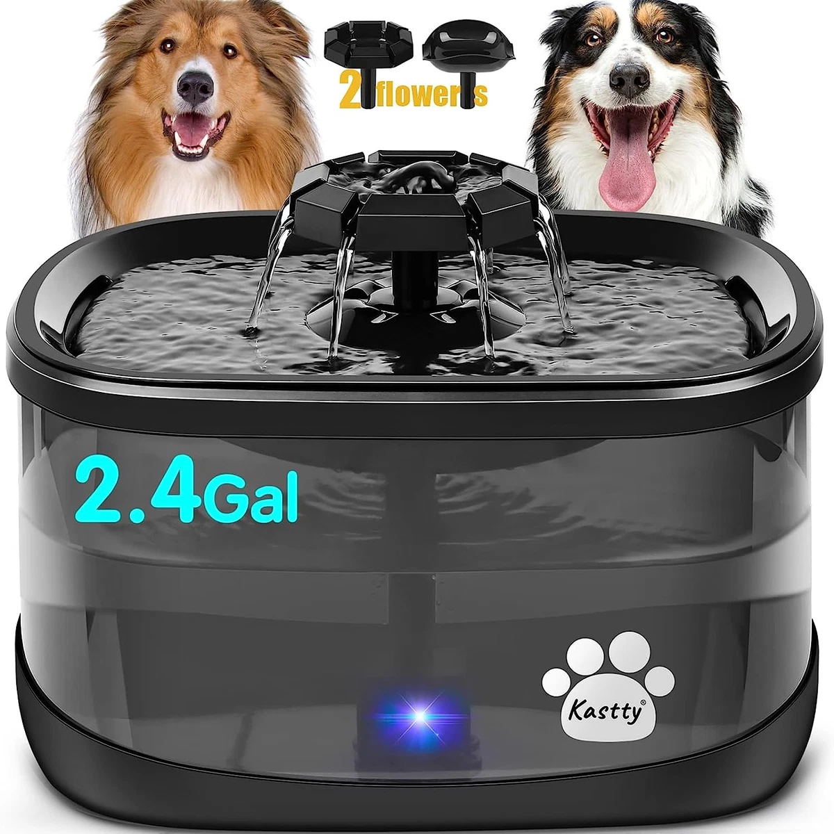 New clearance fountain dog