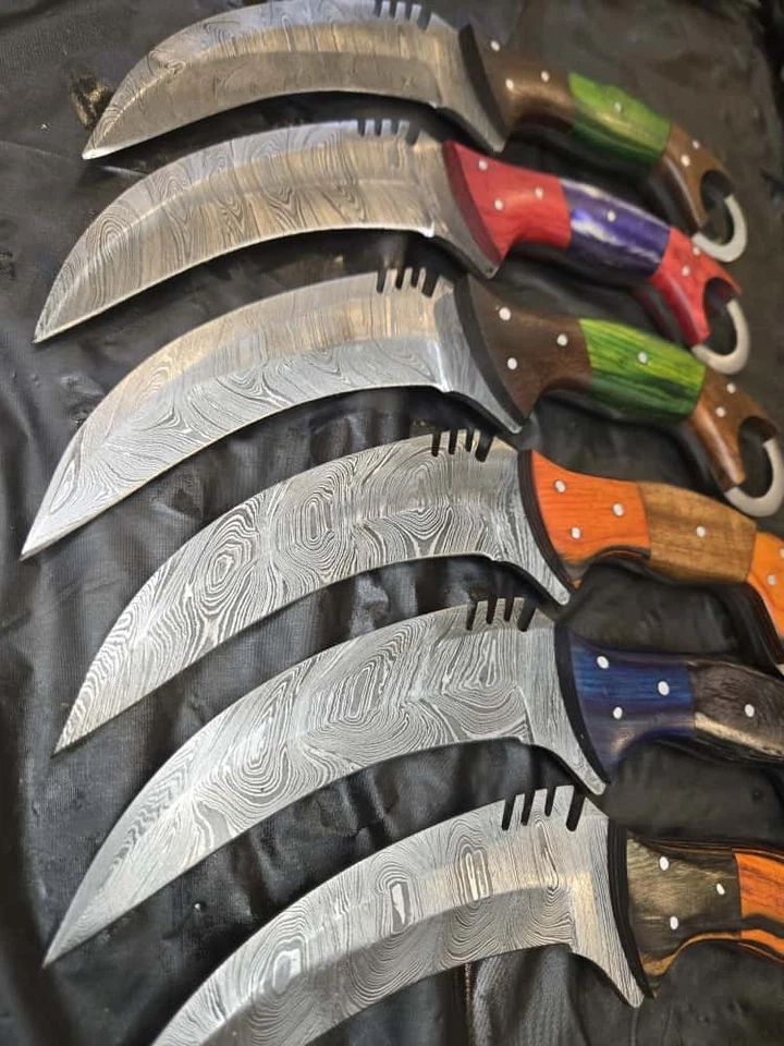 Cuchillo Karambit de Caza de Acero Damasco Forjado a Mano Personalizado 6 Piezas con Funda Foto 2 de 4