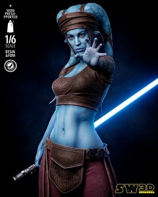 Aayla Secura, Star Wars, 1/4-1/24, Sculpture, Figur, Unbemalt, 3D-Druck, SW3D