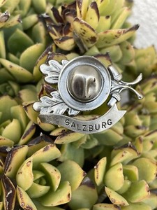 VINTAGE SALZBURG GERMANY SOUVENIR PIN BROOCH Hat Oak Leafs Acorns￼