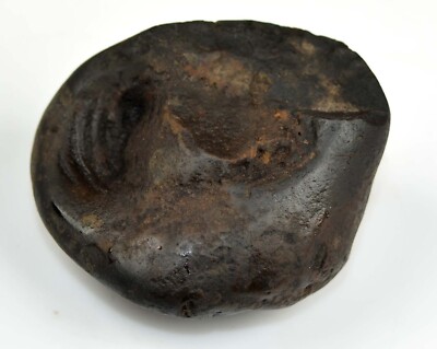 Vaman Shaligram-108 Gram/2.28''