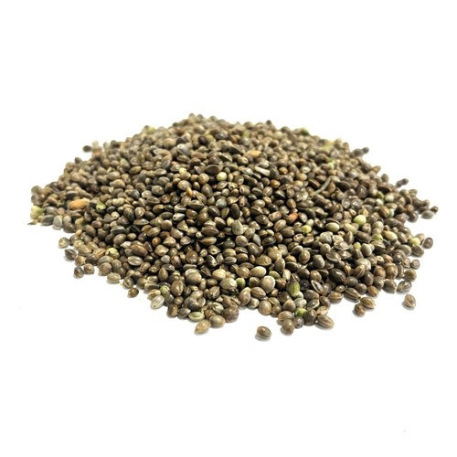 HEMP SEED 5Kg FISHING BAIT WILD/CAGE BIRD SEED SOLD BY Maltbys' Stores ...