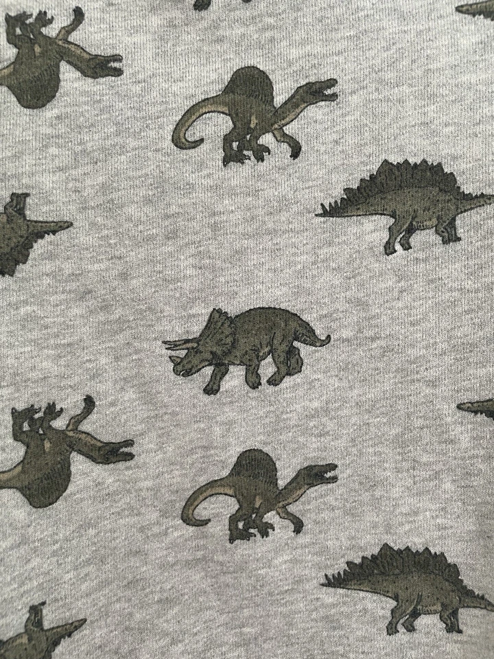Carter's Niño Pequeño Niños Todo Verde Dinosaurio Algodón Cuello Redondo Sudadera Gris 2T Foto 4 de 4