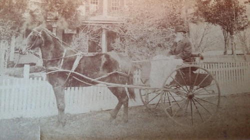 1880'S ANTIQUE BOUDOIR SIZED CABINET CARD PHOTOGRAPH - HORSE & TRAP- AMERICA USA - Picture 4 of 5