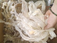 Snake skin shed complete sheds molts Buy 2 Get 1 Free Plus Free Shipping 